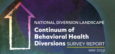 National Diversion Landscape Continuum of Behavioral Health Diversions Survey Report Report