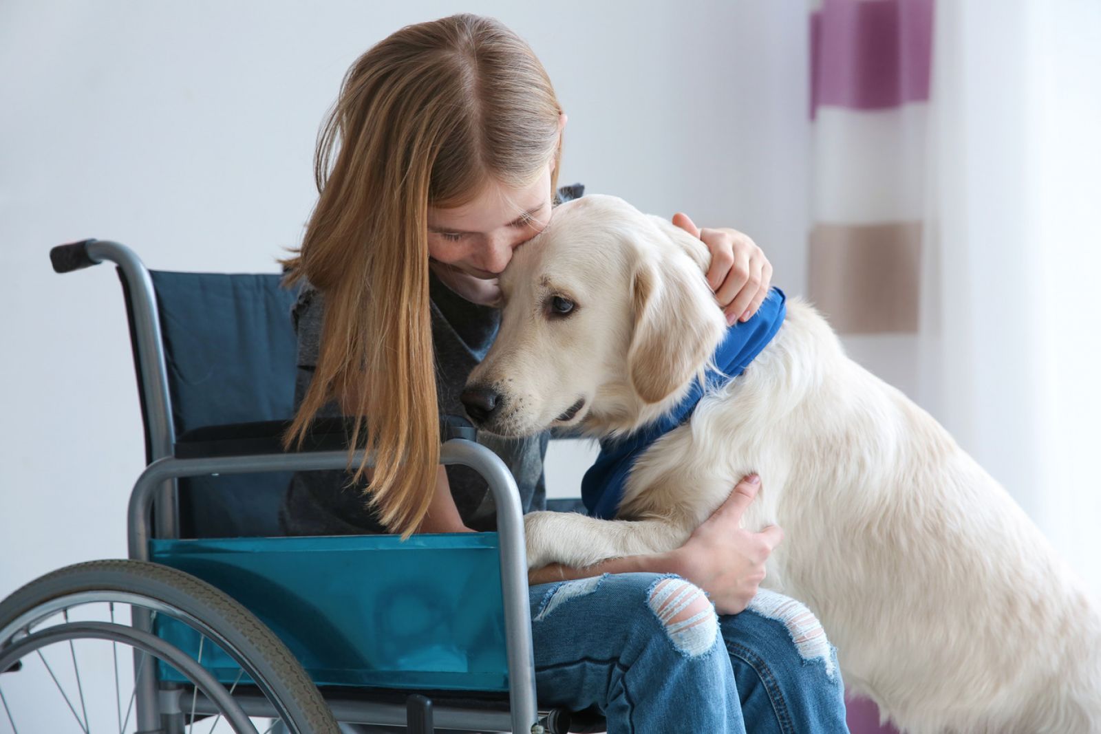 A girl in a wheelchair with a dog banner image