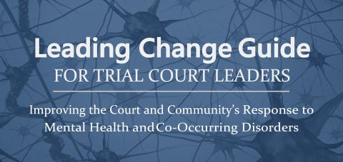Leading Change Guide for Trial Court Leaders