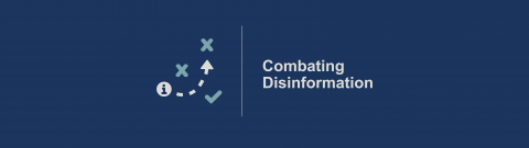 Webinar: Disarming disinformation - How courts can respond
