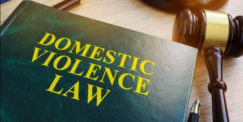 New services for domestic violence